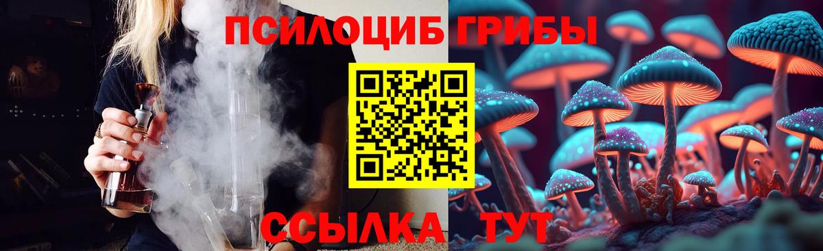 Псилоцибиновые грибы Psilocybe Петровск